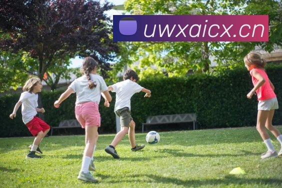 乐鱼官方网站登录品牌故事